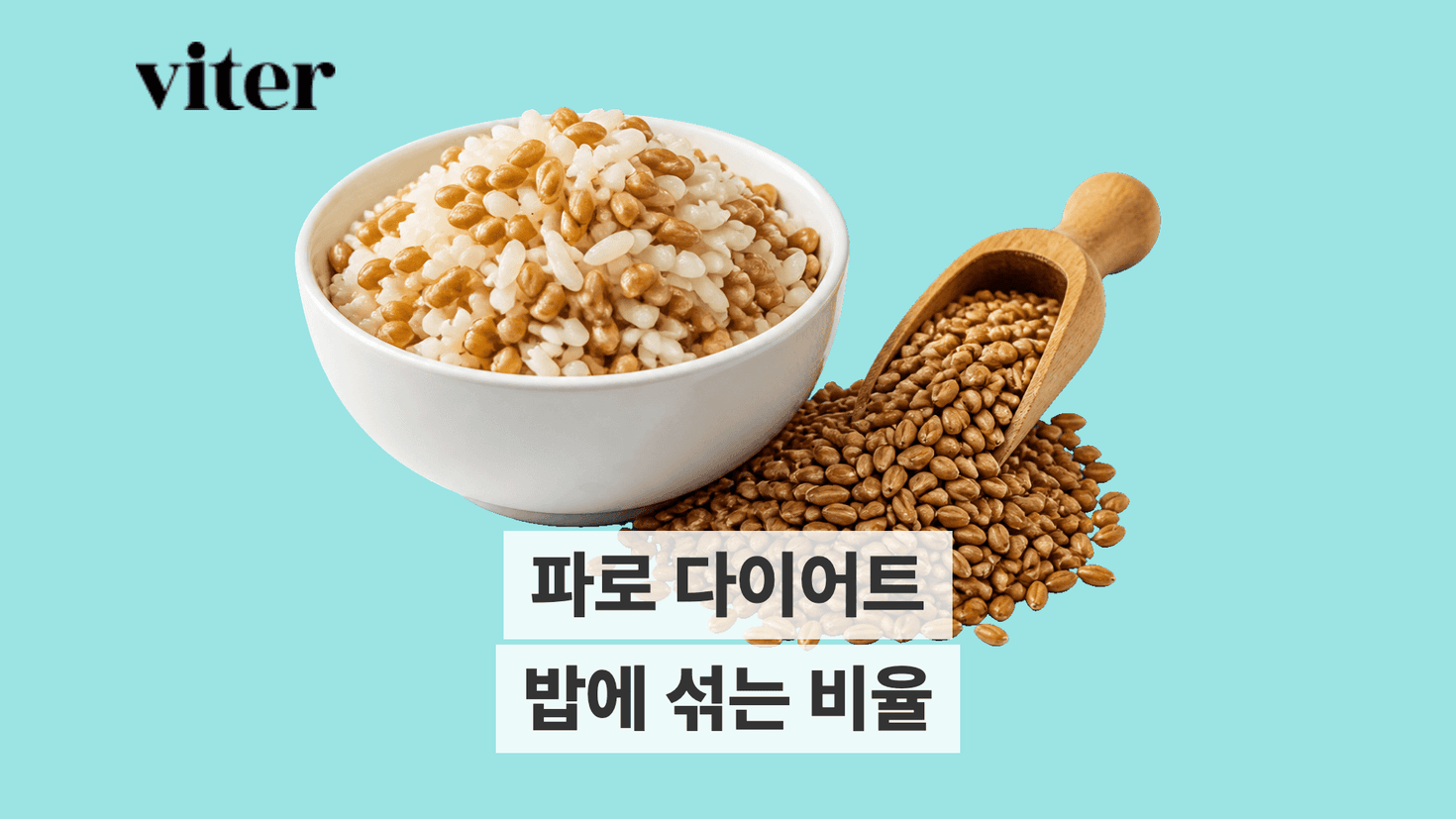 흰쌀과 파로를 섞어 짓는 파로밥과 한 끼 구성